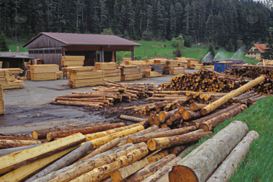 Le bois, ressource naturelle - extrait
